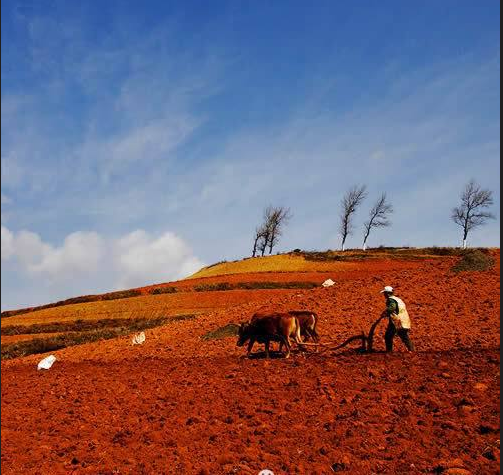 九州体育(中国)九州体育 九州体育(中国)九州体育