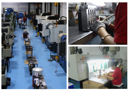 九州体育厂 九州体育厂