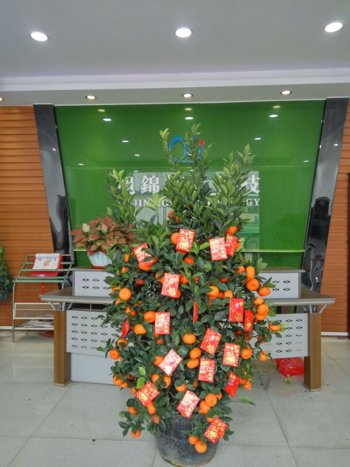 九州体育（中国）九州体育——大吉大利