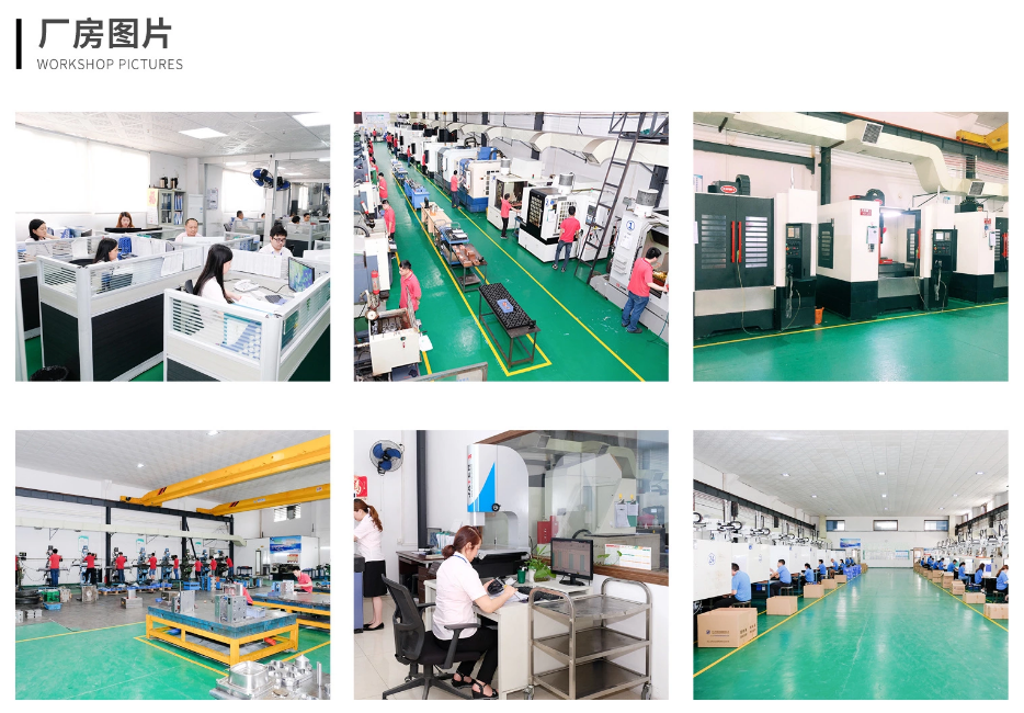 九州体育 九州体育