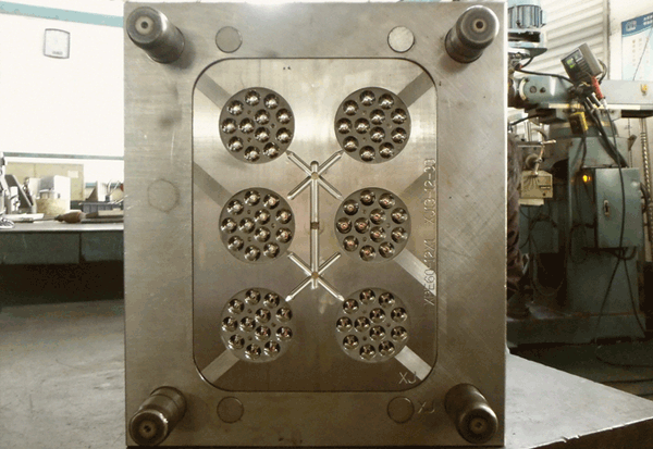 九州体育 九州体育